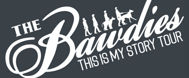 THE BAWDIES